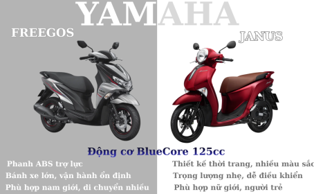 🛵 𝐘𝐀𝐌𝐀𝐇𝐀 𝐅𝐑𝐄𝐄𝐆𝐎 𝐀𝐁𝐒 & 𝐉𝐀𝐍𝐔𝐒 - 𝐂𝐮̀𝐧𝐠 𝐩𝐡𝐚̂𝐧 𝐤𝐡𝐮́𝐜 𝐠𝐢𝐚́ 𝟑𝐱;