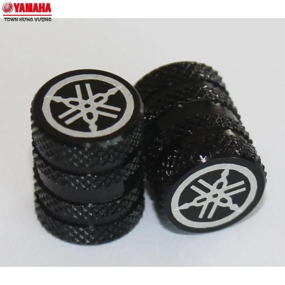 Bộ nắp van lốp xe (đen)